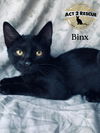 Binx