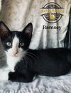 Ramsey