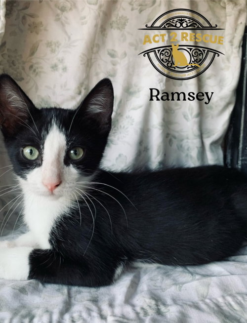 Ramsey