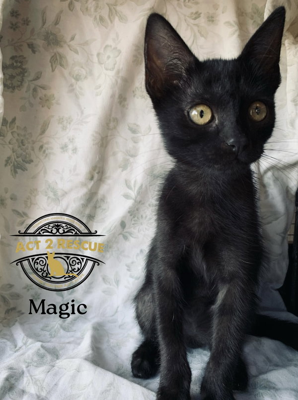 Magic