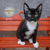 Gomez