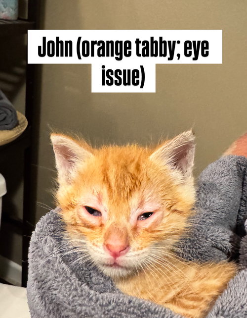 John