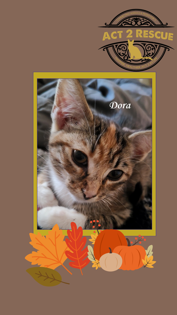 Dora