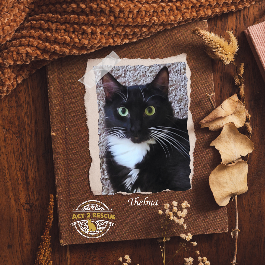 Thelma Image