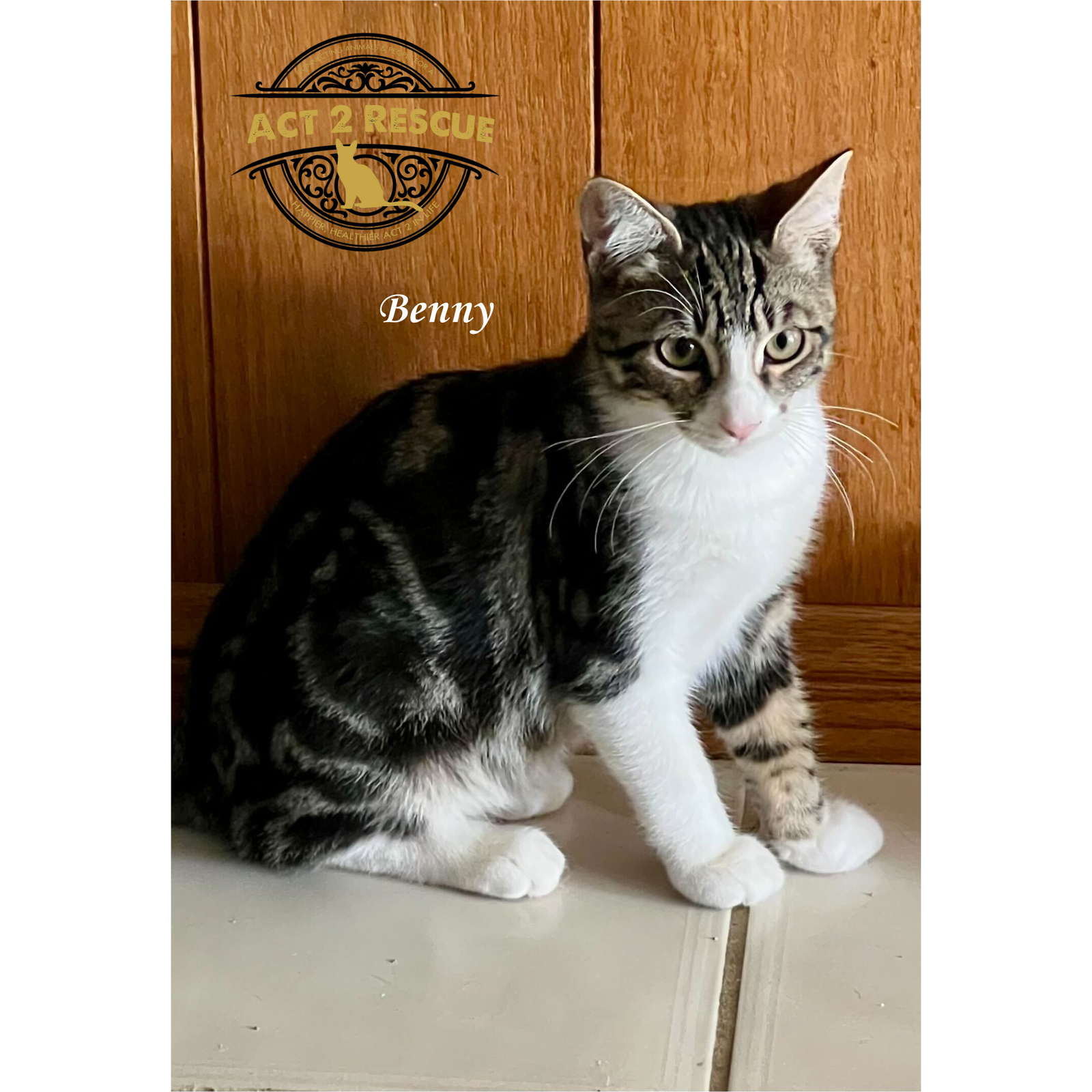 Benny (Bonded with Sky) Image