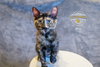 Priss