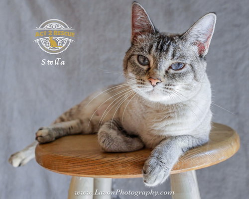 Stella 2
