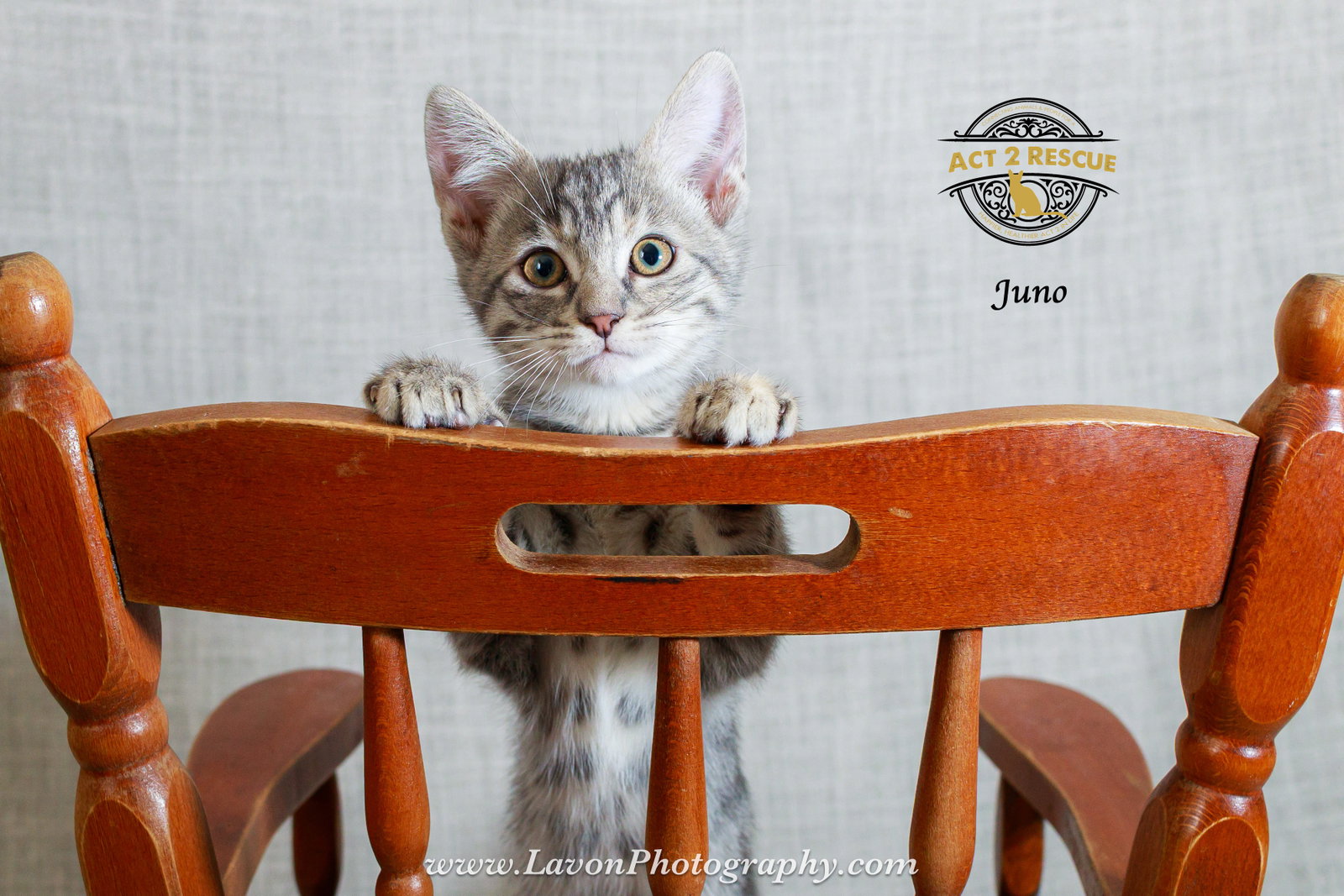 Juno