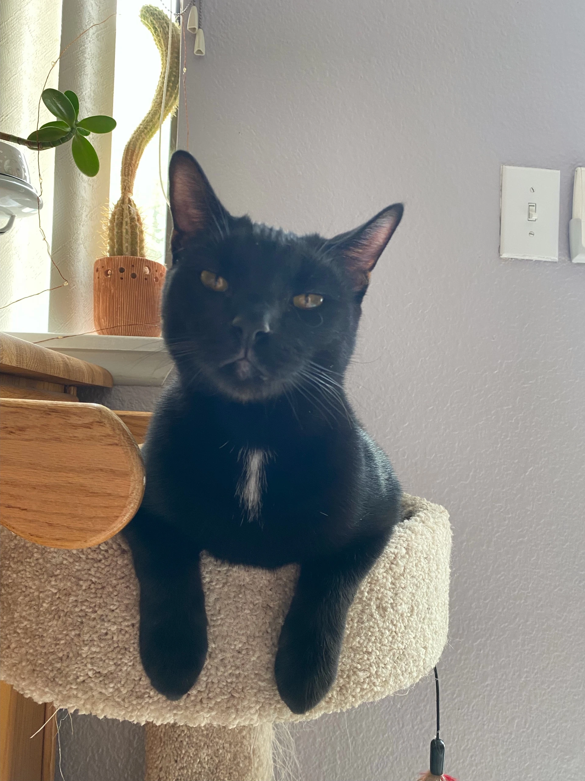 Monty