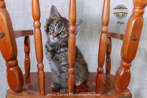 Nyla photo 4