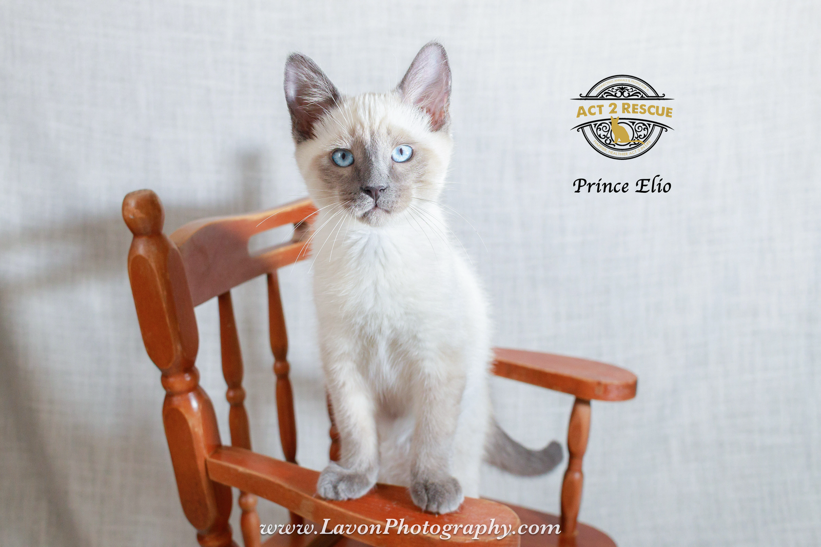 Prince Elio