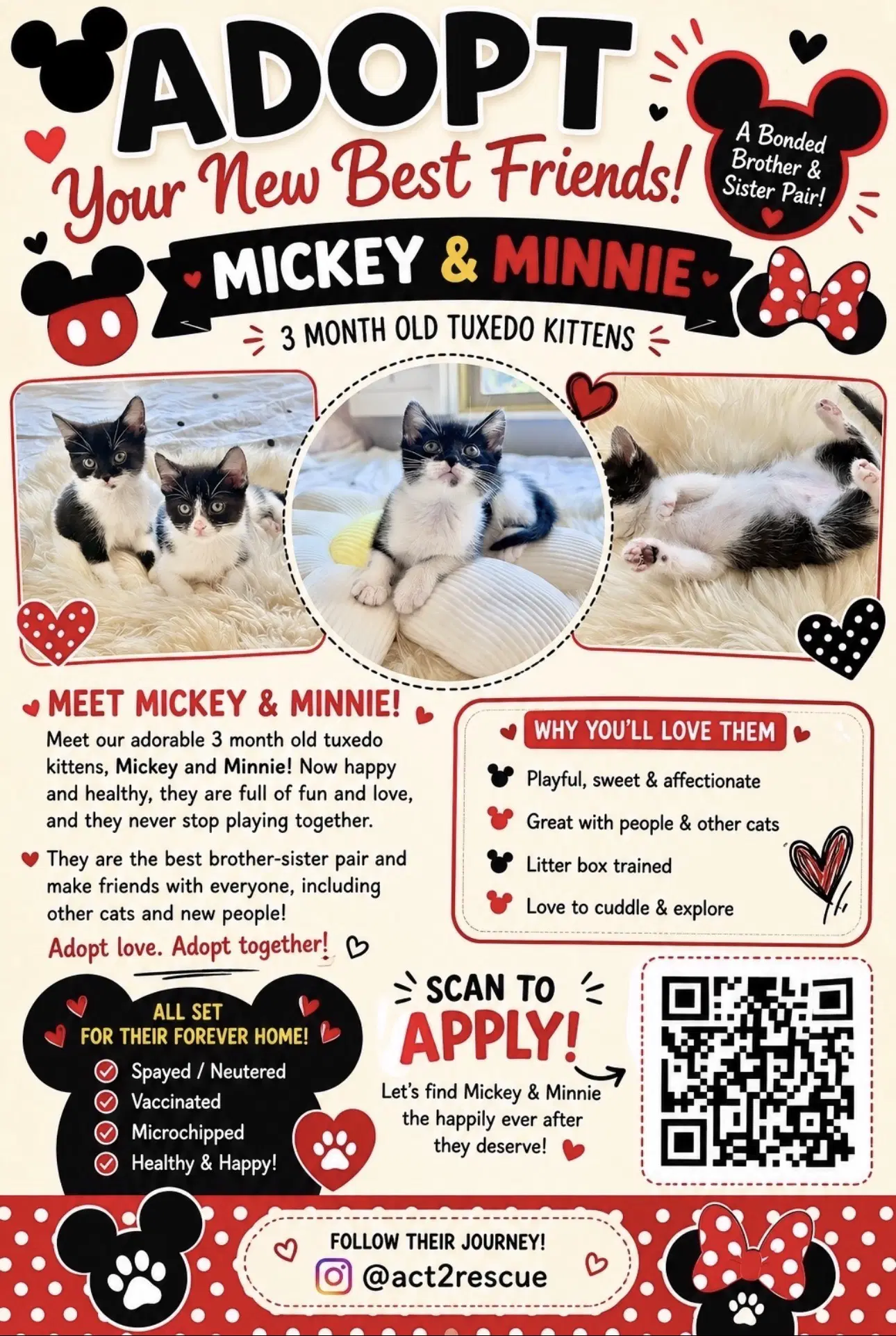 Minnie image 4