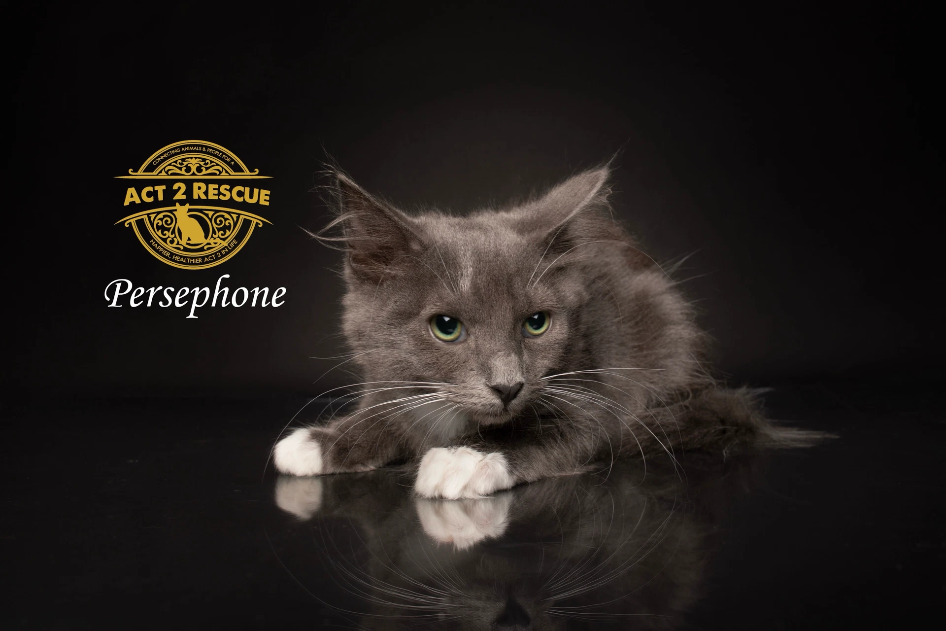 Persephone