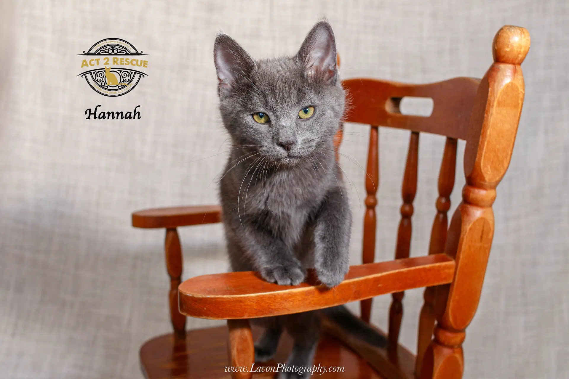 Hannah image 4