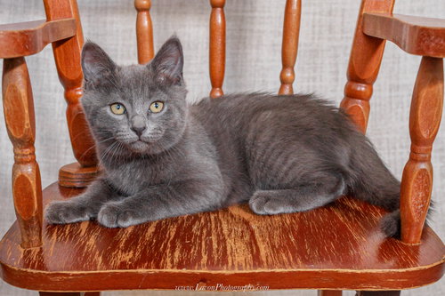Photo 6 of Esther
