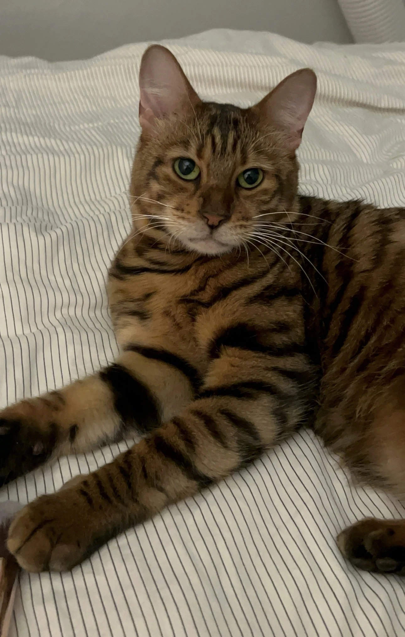 Princess Rahja