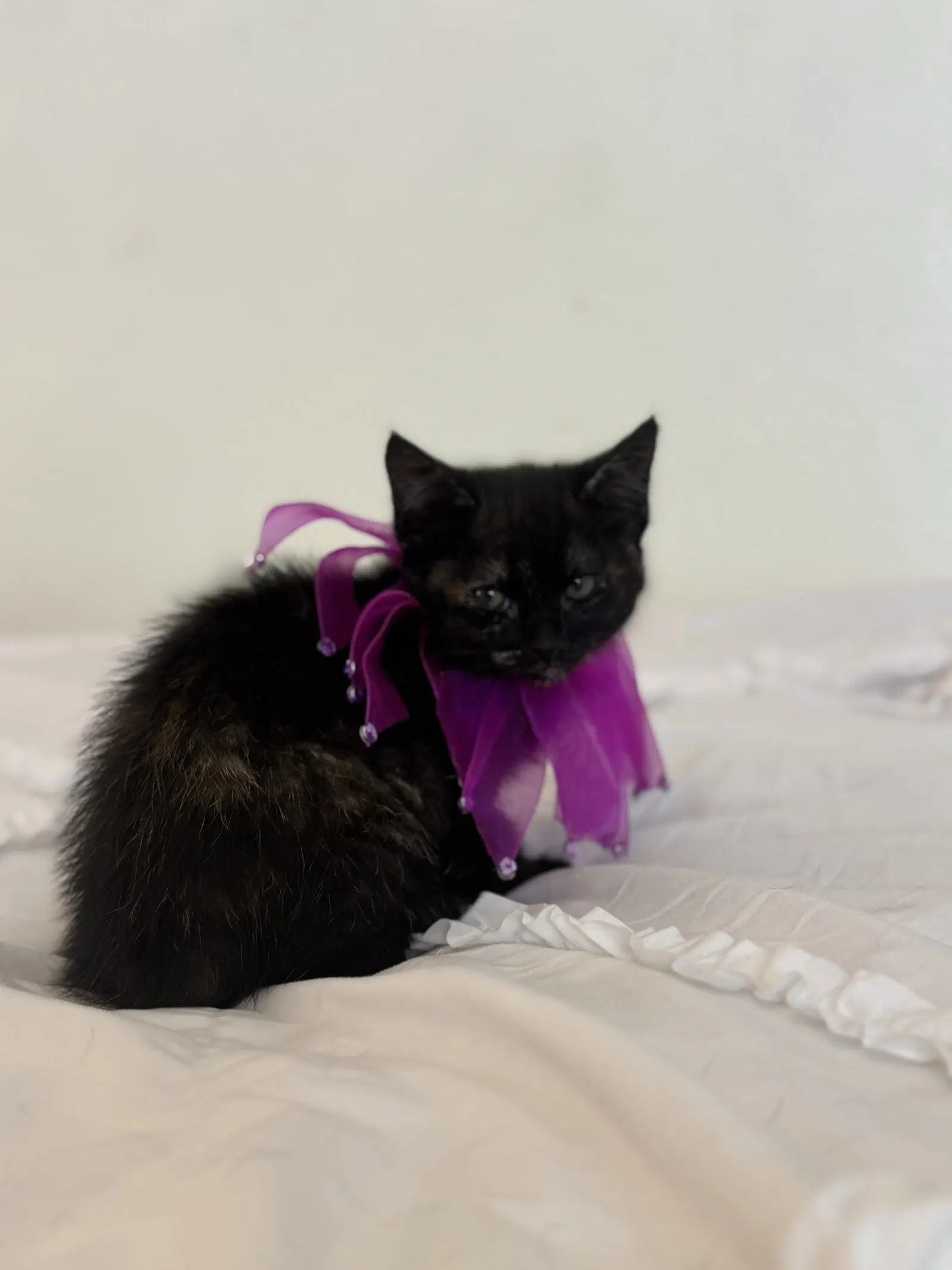 Nyx image 3