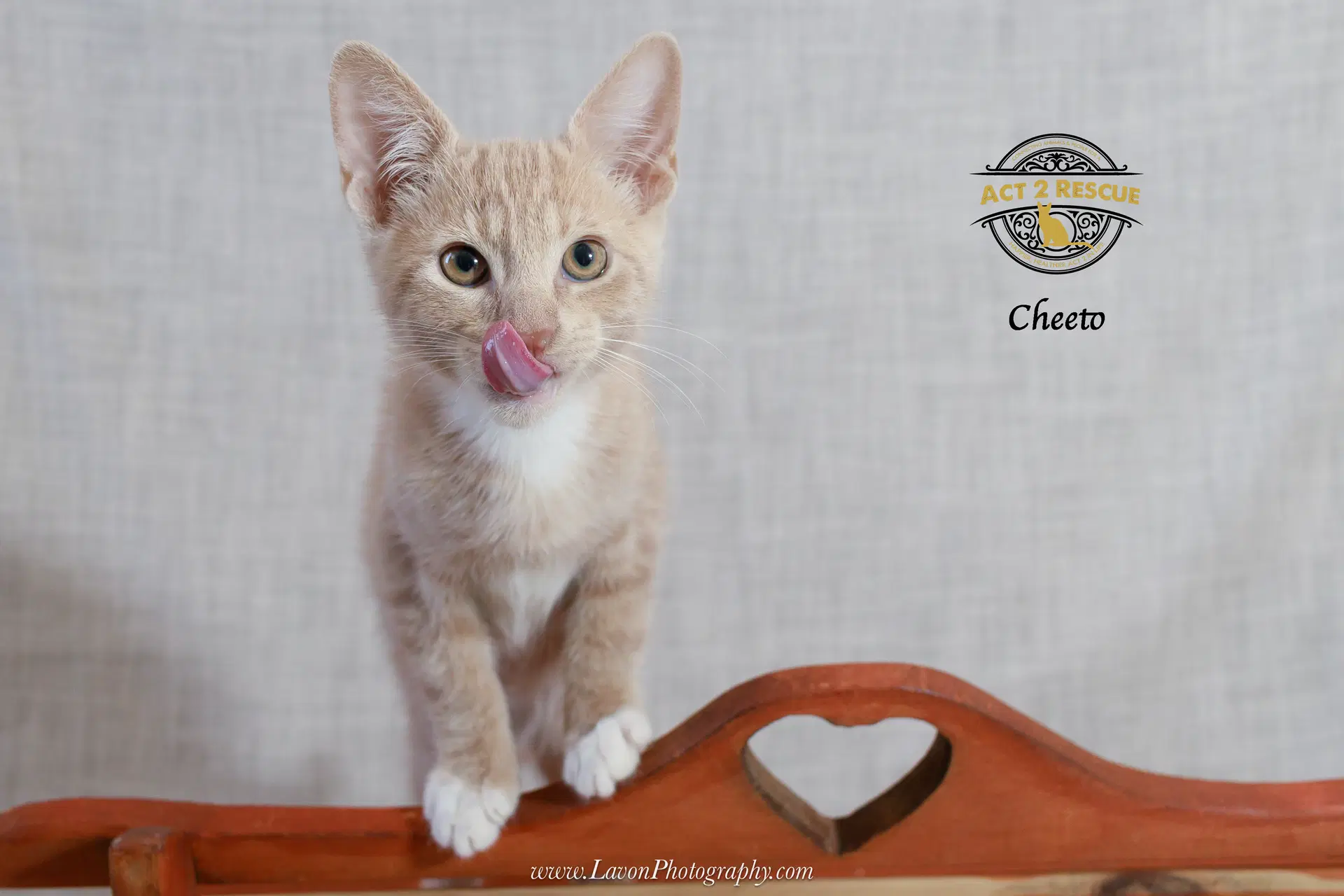 Cheeto image 4