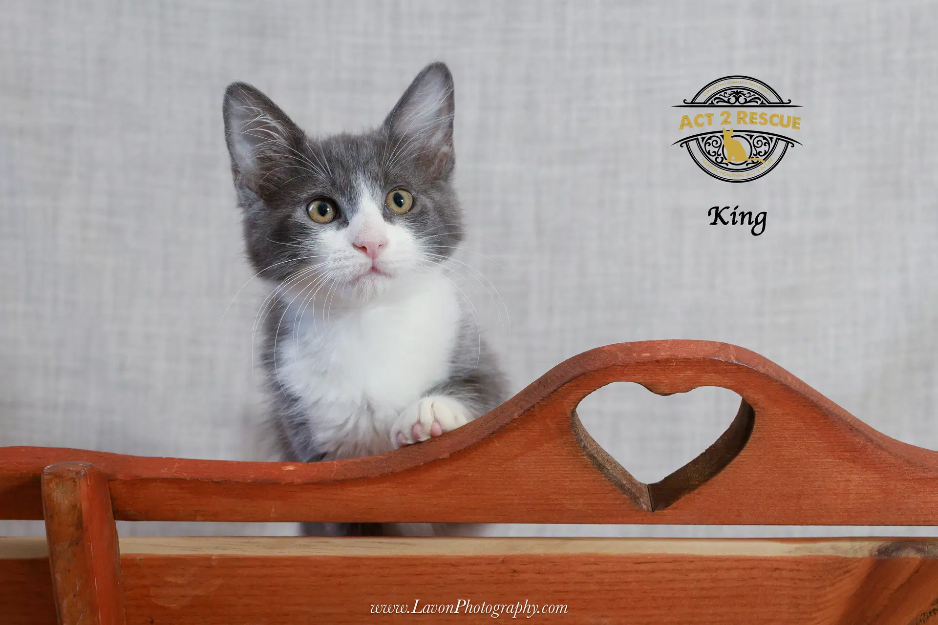 King image 4