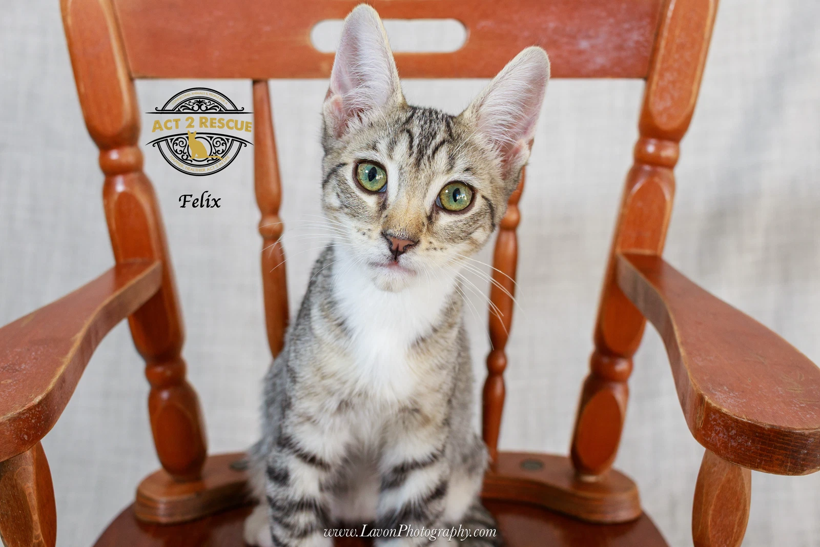Felix