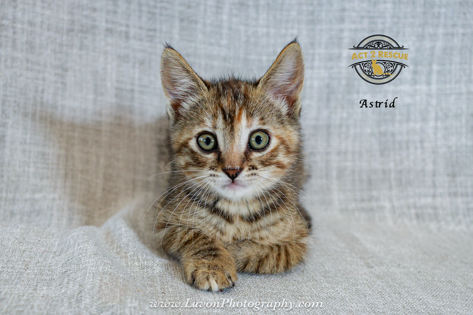 Astrid, photo 2