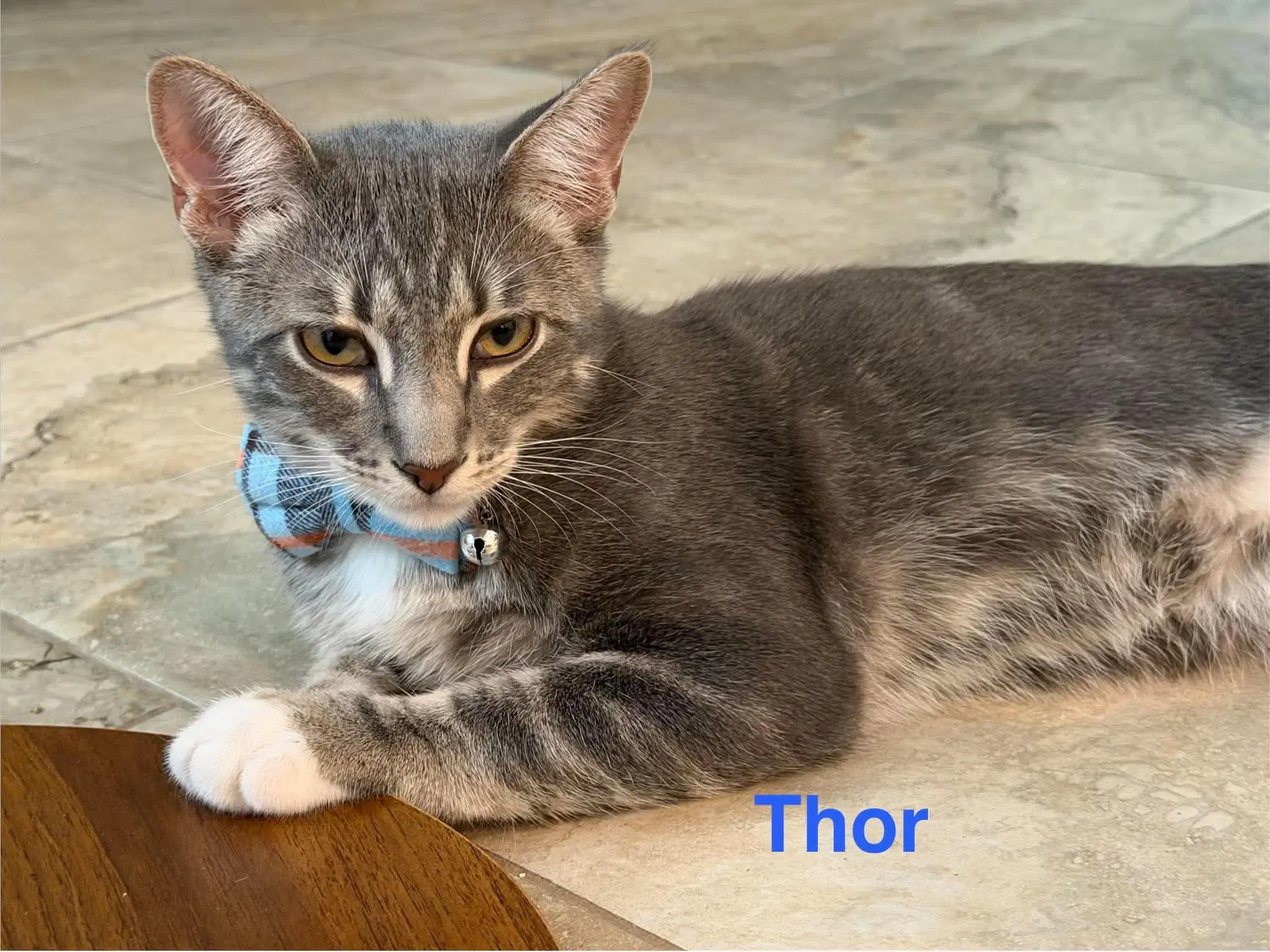 Thor image 3