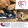 Rex