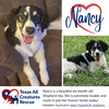 Nancy