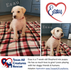 Esau