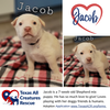 Jacob
