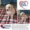 Ruth