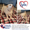 Lydia