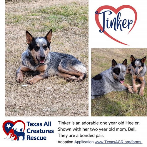 Tinker