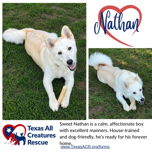 Nathan