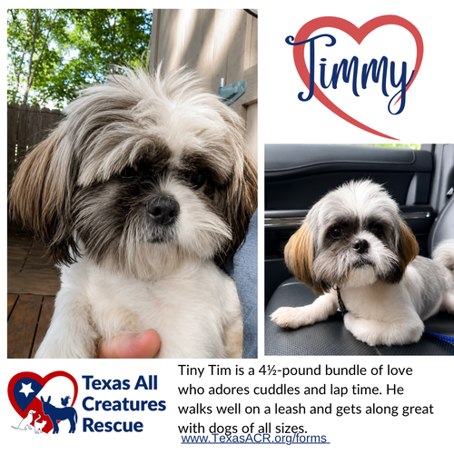 Tiny Tim