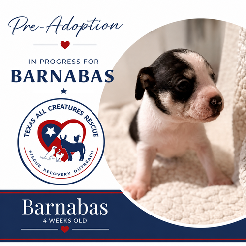 Barnabas