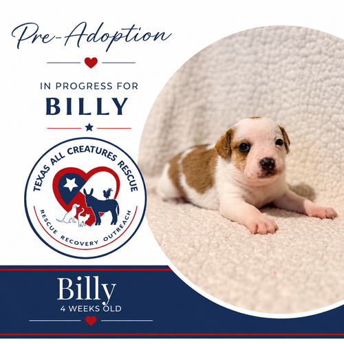Billy