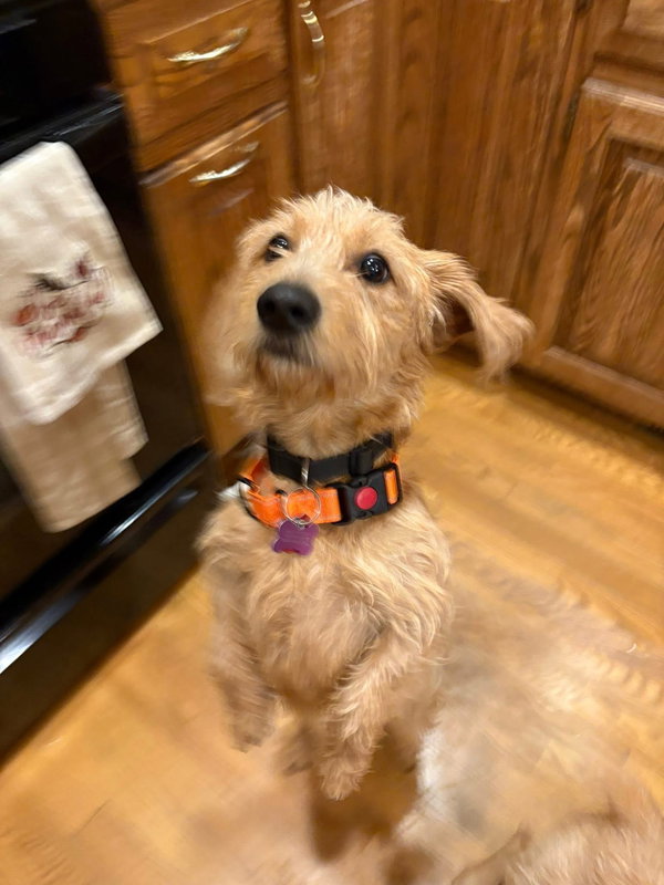 Phineas