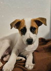 Hermey - Photo 1