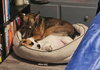 Hermey - Photo 3