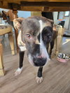 Tabitha - Photo 1
