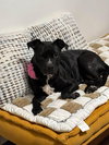 Holly - Photo 2