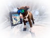 Breckenridge - Photo 5