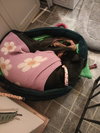 Roo - Photo 3