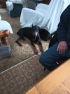 Roo - Photo 5