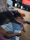 Roo - Photo 7