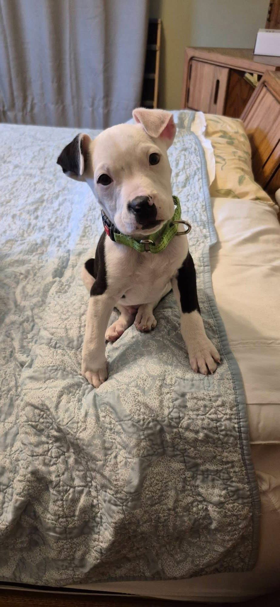 Houston