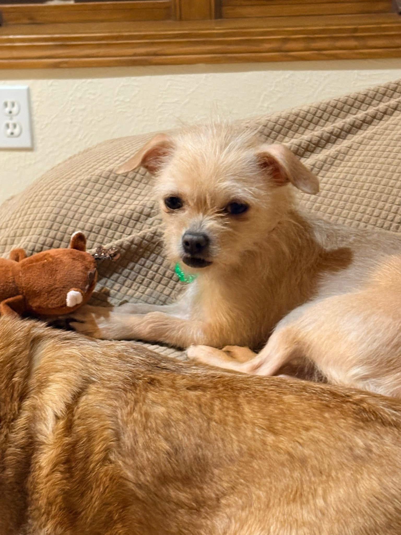 Zoey
