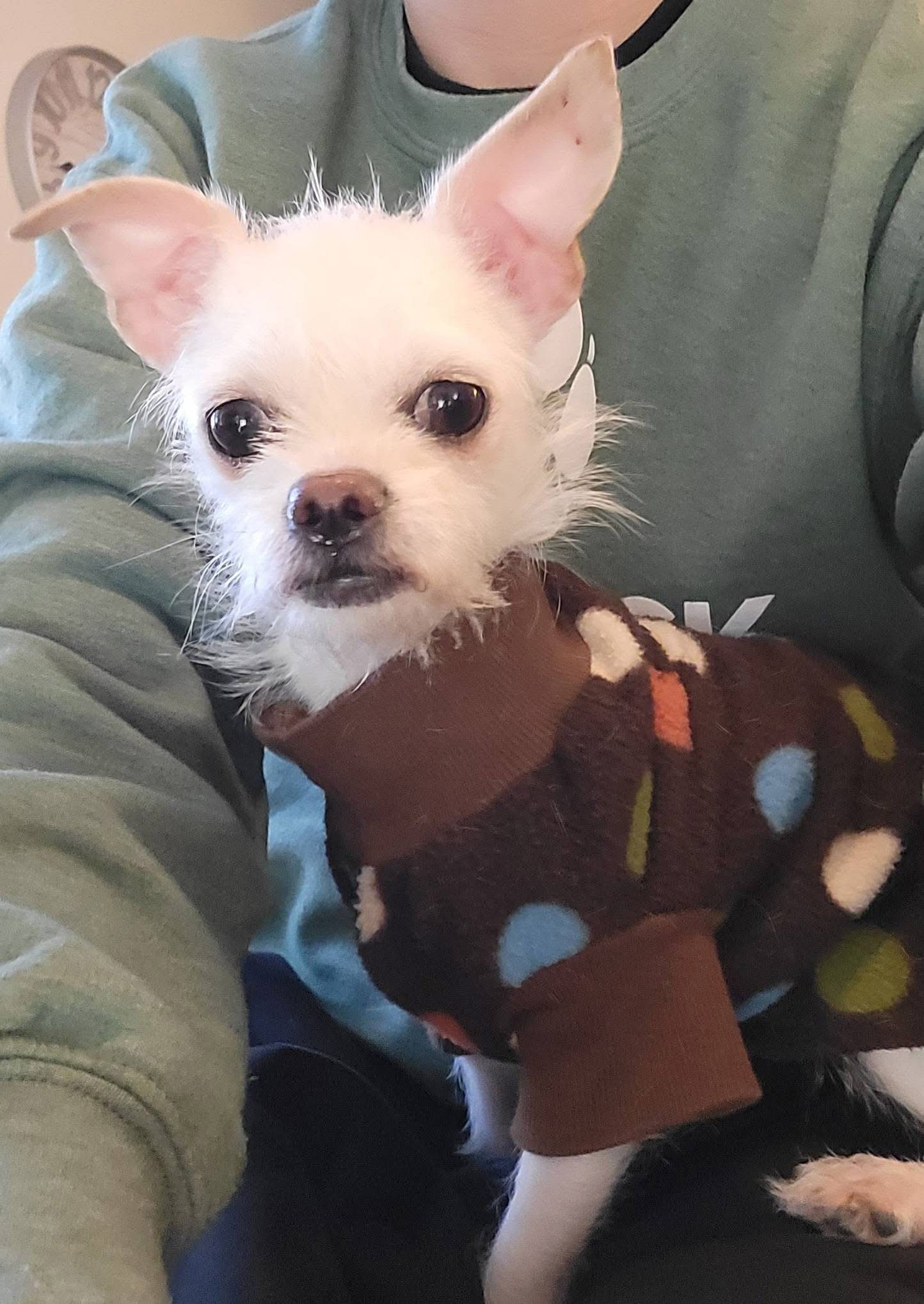 Petey