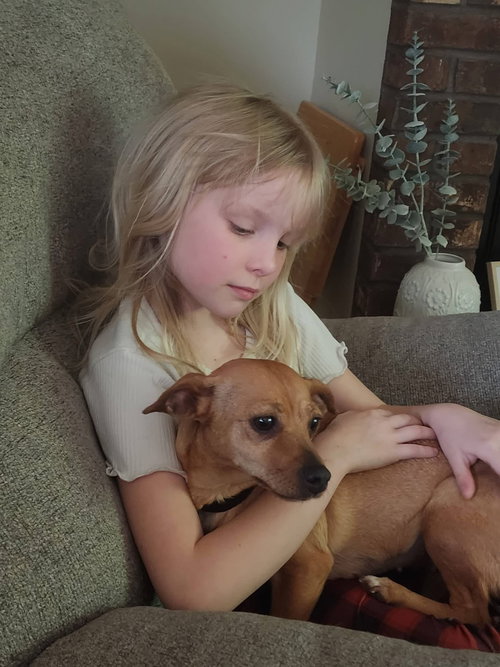 picture of the dog needing adoption